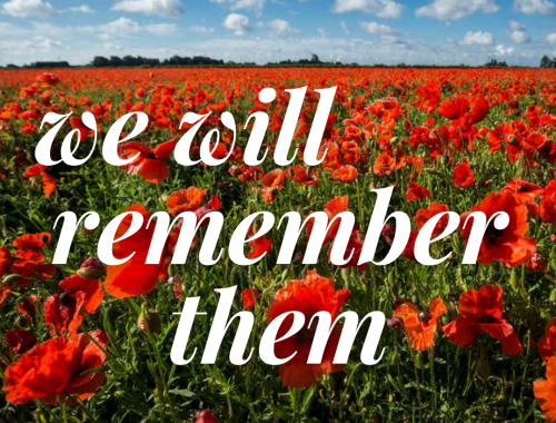 We will remember them - set on a field of poppies